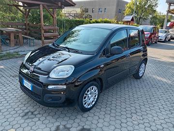 Fiat Panda 1.2 Lounge 69cv