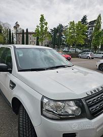 FREELANDER 2 MARZO 2014