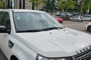 FREELANDER 2 MARZO 2014