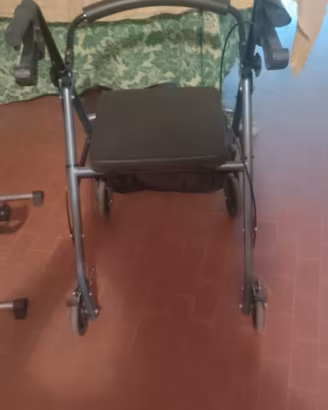 Deambulatore da esterno con porta spesa