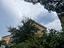 Immagine 20