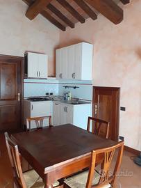 Modena nuovo bilocale con soffitta