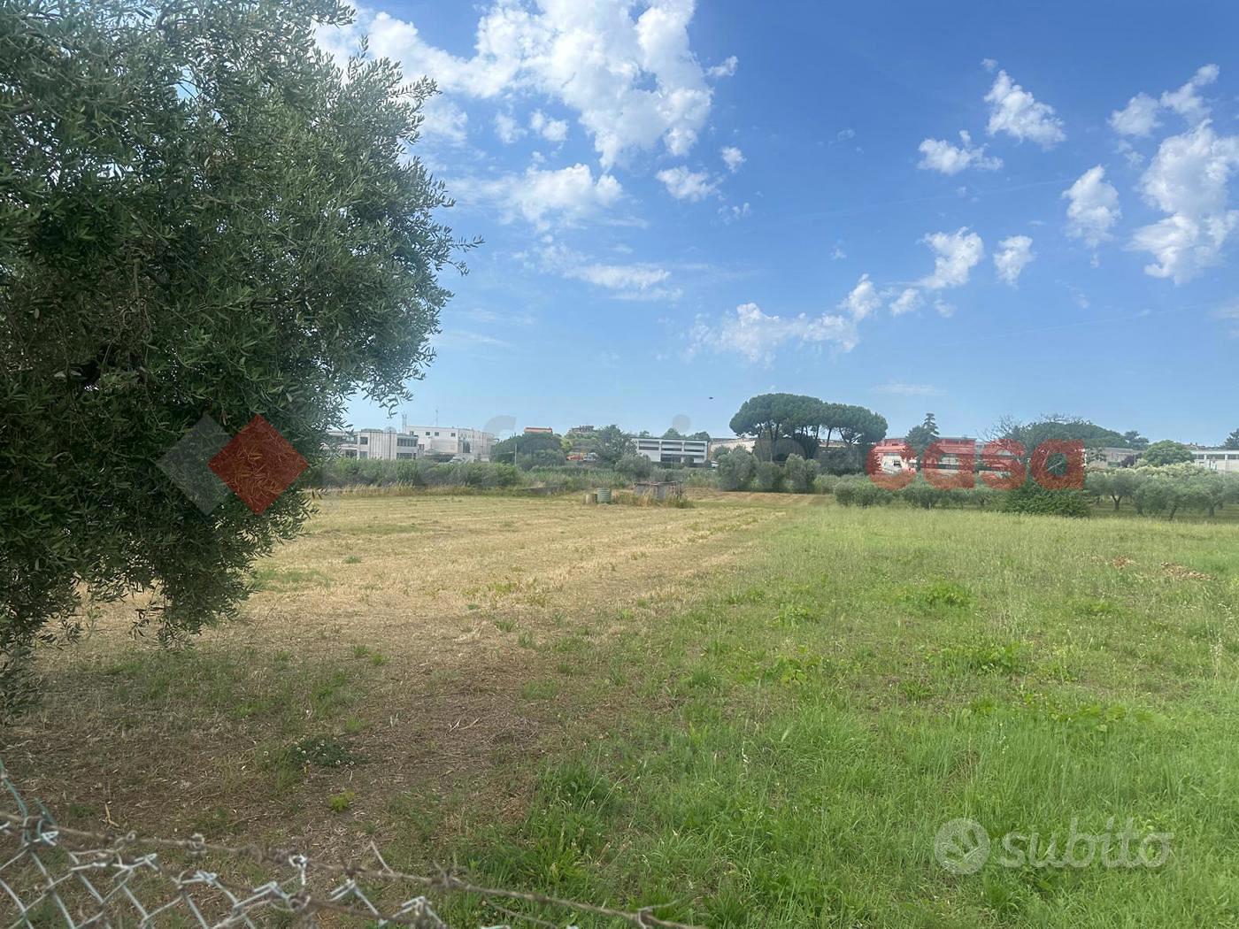 Terreno Agricolo Albano Laziale [837VCG] - Vista 5