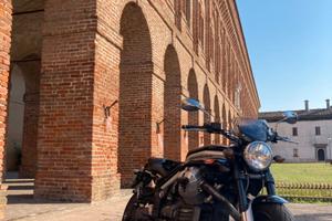 Moto Guzzi Griso 1100 - 2006