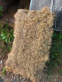 fieno