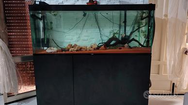 acquario Ciano pro 150 300 litri