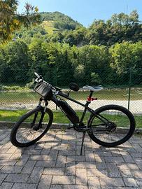 Bici elettrica Dinamica Model 100