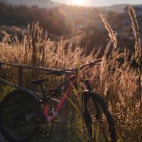 specialized enduro elite carbon 29