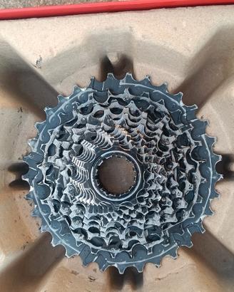 pacco pignoni bici da corsa 