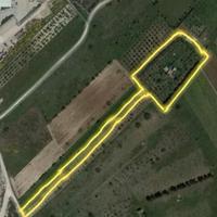 Terreno agricolo piantu