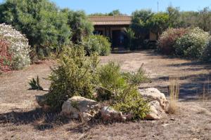 Villa sulla spiaggia di pozzitello