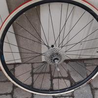 Ruota Shimano per rulli