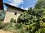 Immagine 15