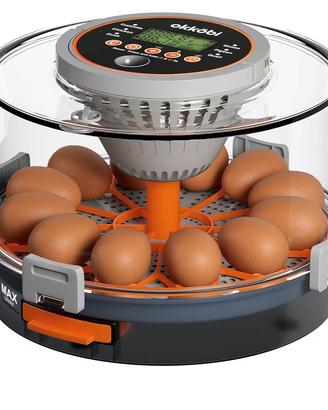 Incubatrice uova okkobi
