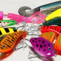 esche Fox pesca luccio