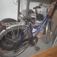 Bicicletta da donna