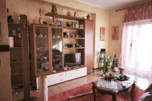 Luminoso Trilocale zona San Paolo