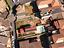 Immagine 26