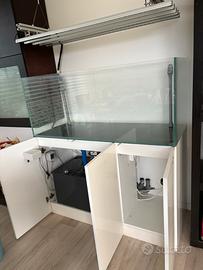 Acquario completo e funzionale