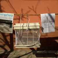 Lampada antizanzare elettrica da esterno/interno