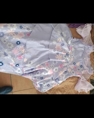 Vestito Isabella cartone encanto