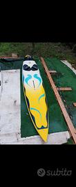 tavola windsurf