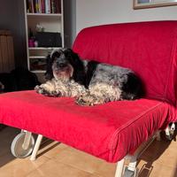 Divano letto singolo