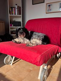 Divano letto singolo