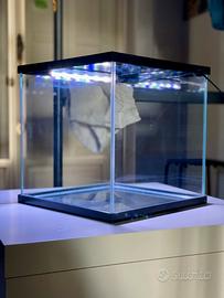 Acquario piccolo 27 litri completo di tutto
