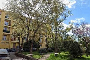 Stanza Singola Luminosa a 5 min da Medicina