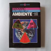 Dizionario dell'ambiente nuovo.