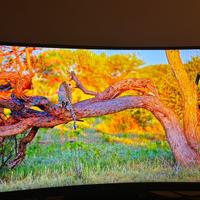 Monitor PHILIPS 27” 244Hz