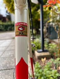 Bici da corsa De Rosa