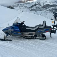Polaris Edge 550