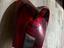 Immagine 1