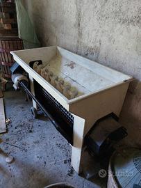 Sgranatrice pigiatrice deraspatrice uva