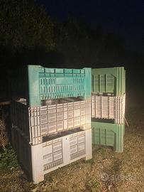 Bins per olive e ortaggi