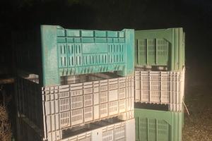 Bins per olive e ortaggi