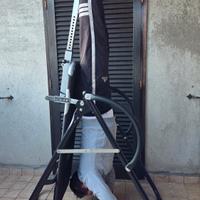 Panca a inversione