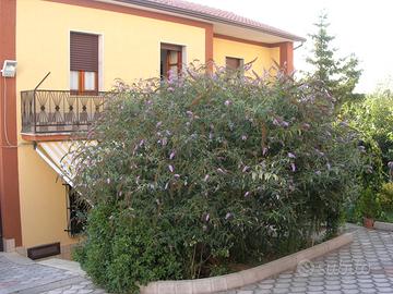 Villetta unifamiliare