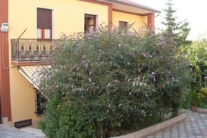 Villetta unifamiliare