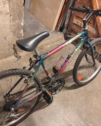 Mountain bike