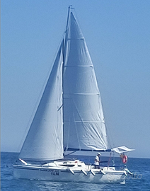 Performance fast cruiser del 2024