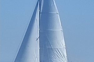 Performance fast cruiser del 2024