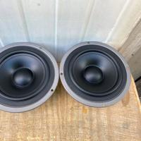 coppia midwoofer da 16.7 cm (germany)