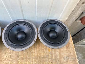 coppia midwoofer da 16.7 cm (germany)