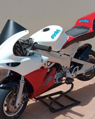 MINIMOTO POLINI 911 DM 15 CV LIQUIDO 