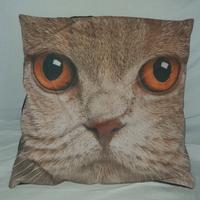 cuscino gatti
