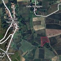 Vendita vigneto a Corvino San Quirico (PV)