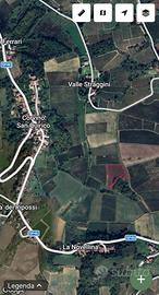 Vendita vigneto a Corvino San Quirico (PV)